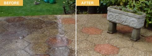 Before & After Picture Gallery